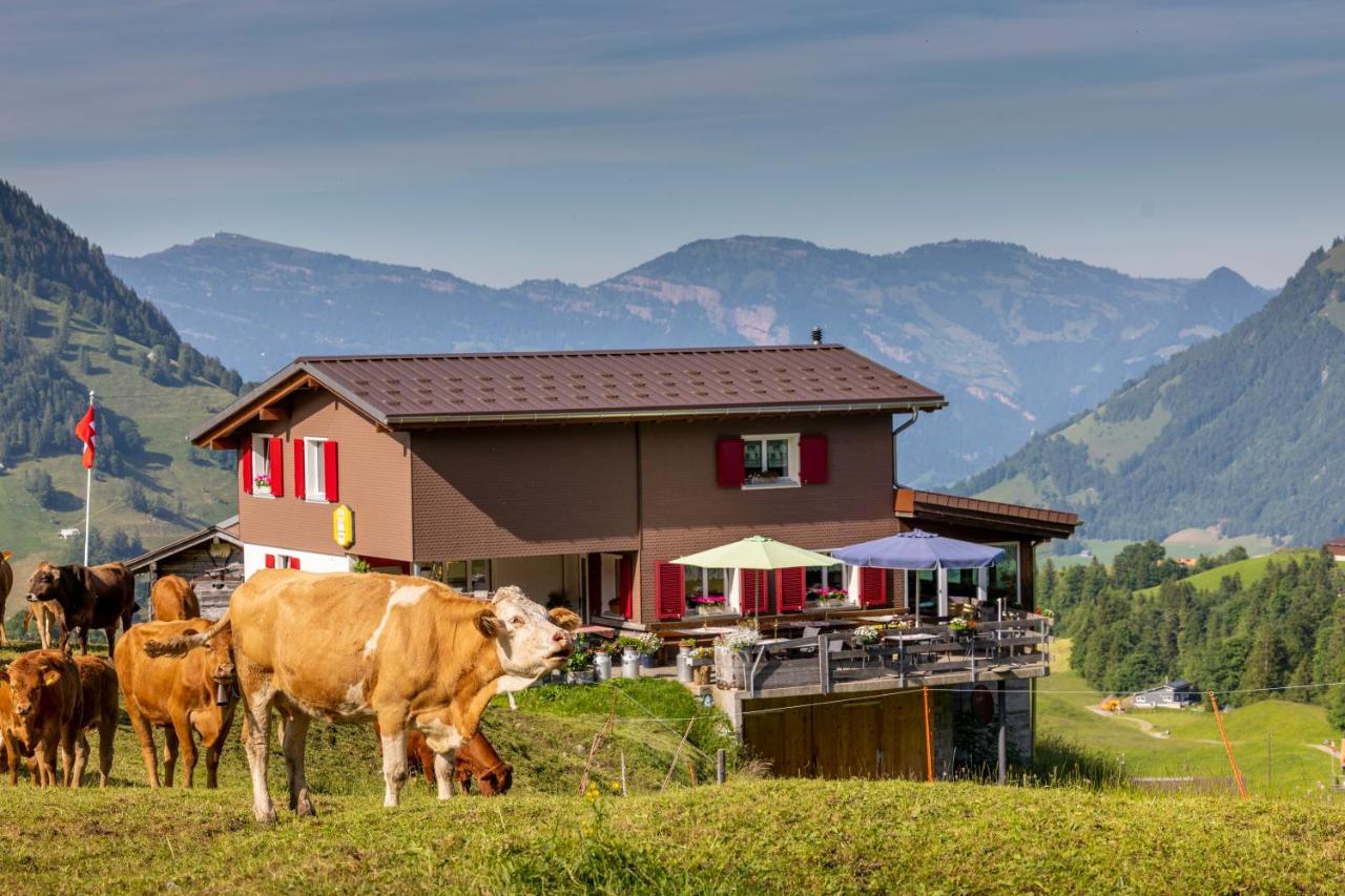 The Swiss Paradise 2 Apartment With Garden, Whirlpool, And Mountain Panorama Wirzweli Exterior photo